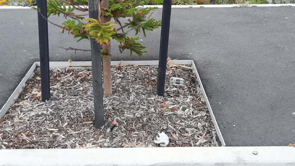 The photograph attached to this parks report