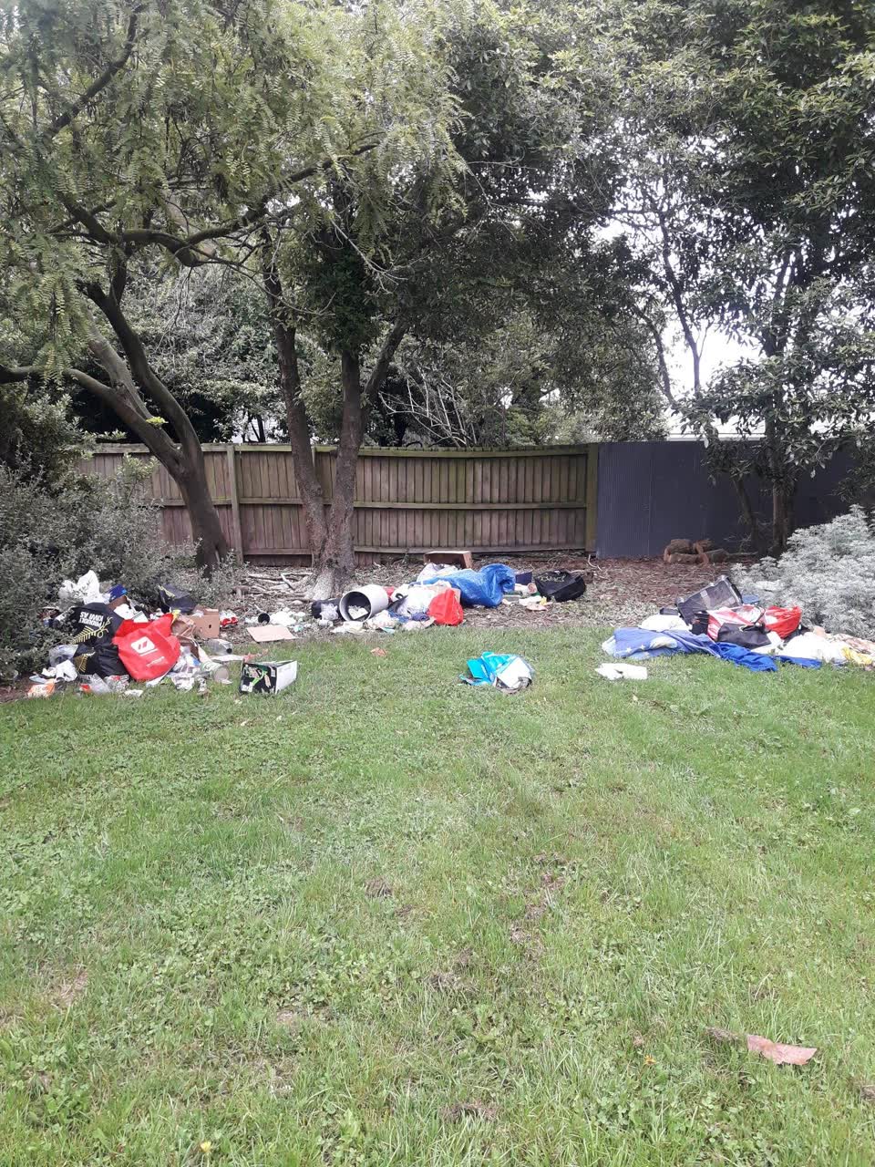 The photograph attached to this parks report
