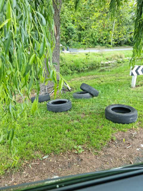 Rubbish/Recycling, a report photo