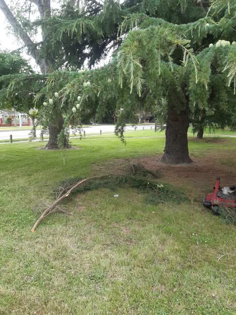 Parks, a report photo
