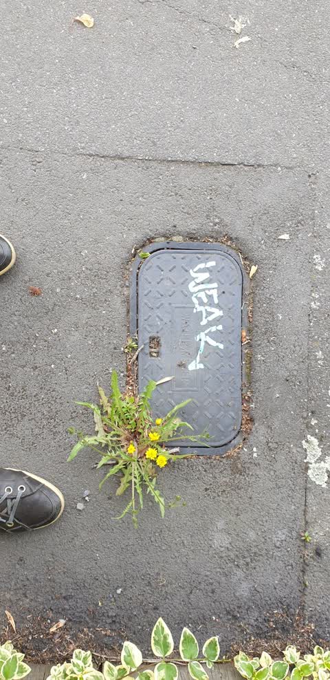 Graffiti, a report photo