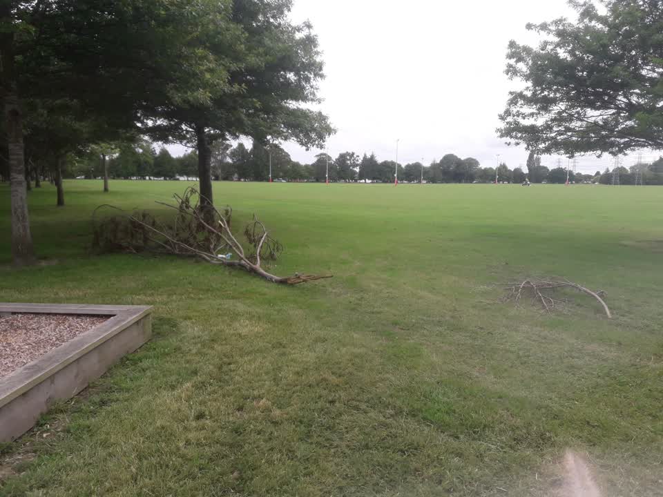 The photograph attached to this parks report