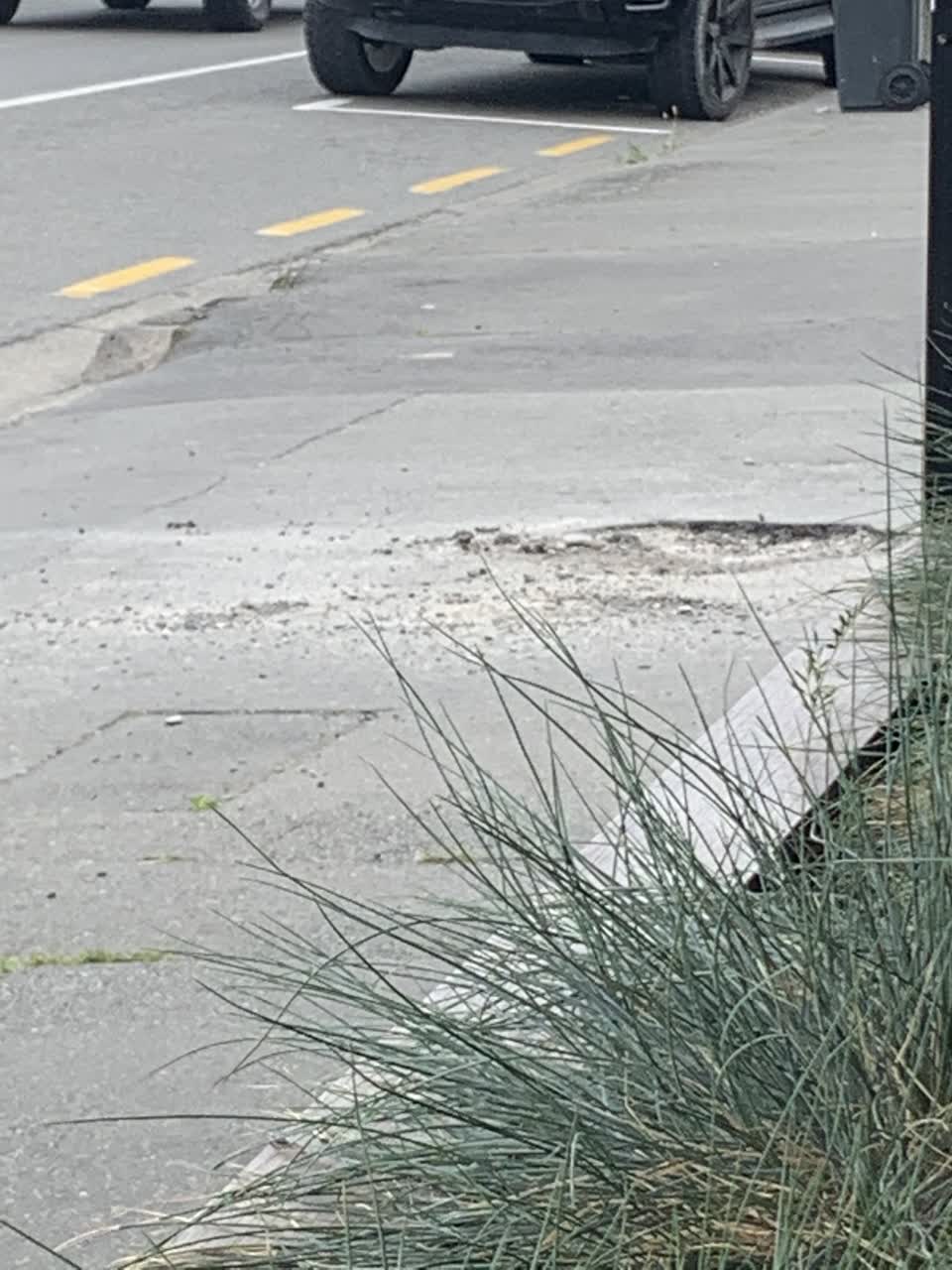 The photograph attached to this roading/streets report