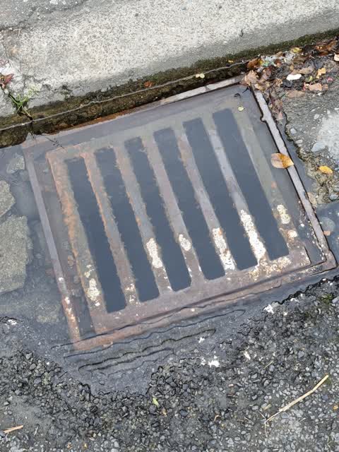 Water Leak, a report photo