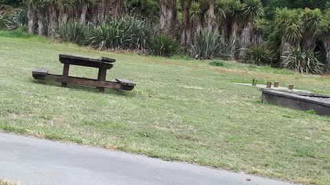Parks — a report photo