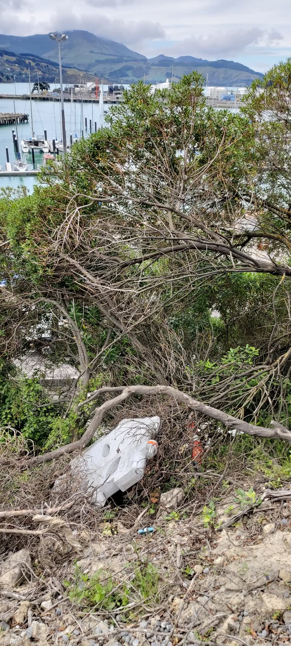 The photograph attached to this parks report