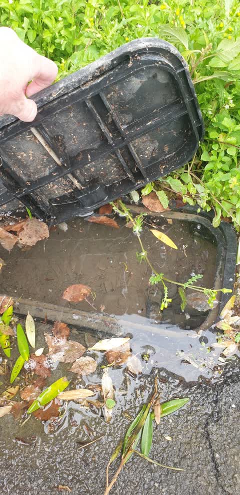 Water Supply, a report photo