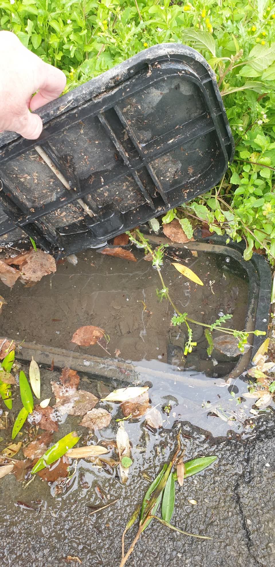 The photograph attached to this water supply report