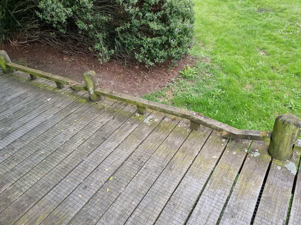 The photograph attached to this parks report