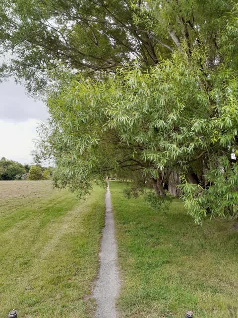 Parks, a report photo
