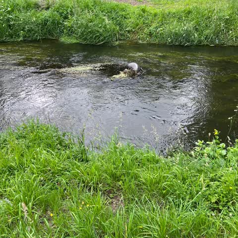 Parks, a report photo