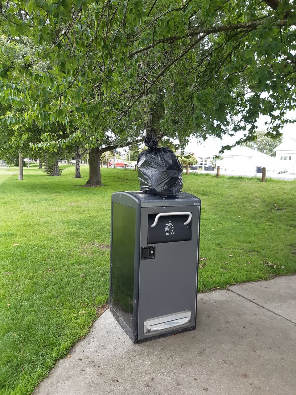 The photograph attached to this parks report