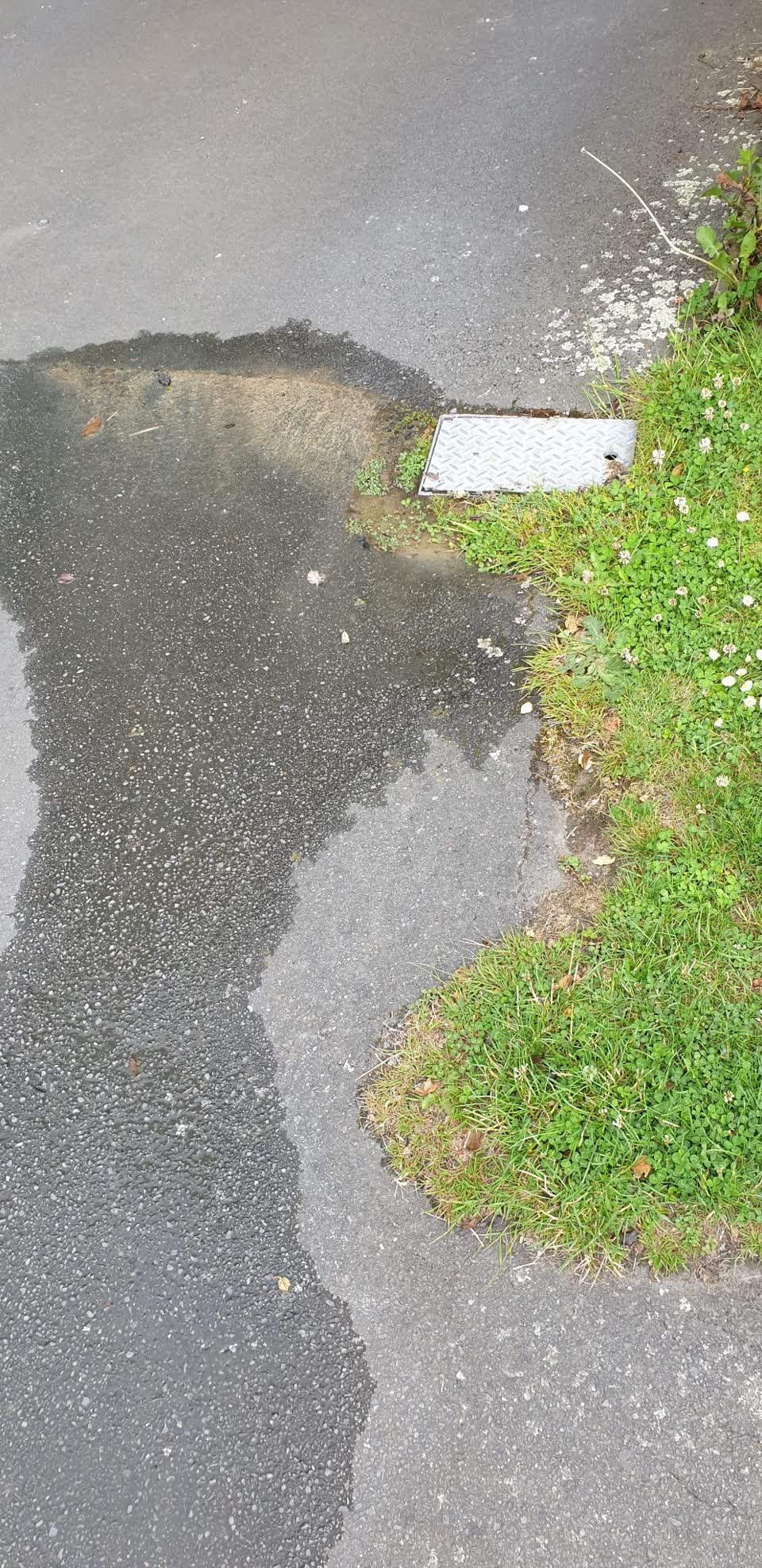 The photograph attached to this water leak report