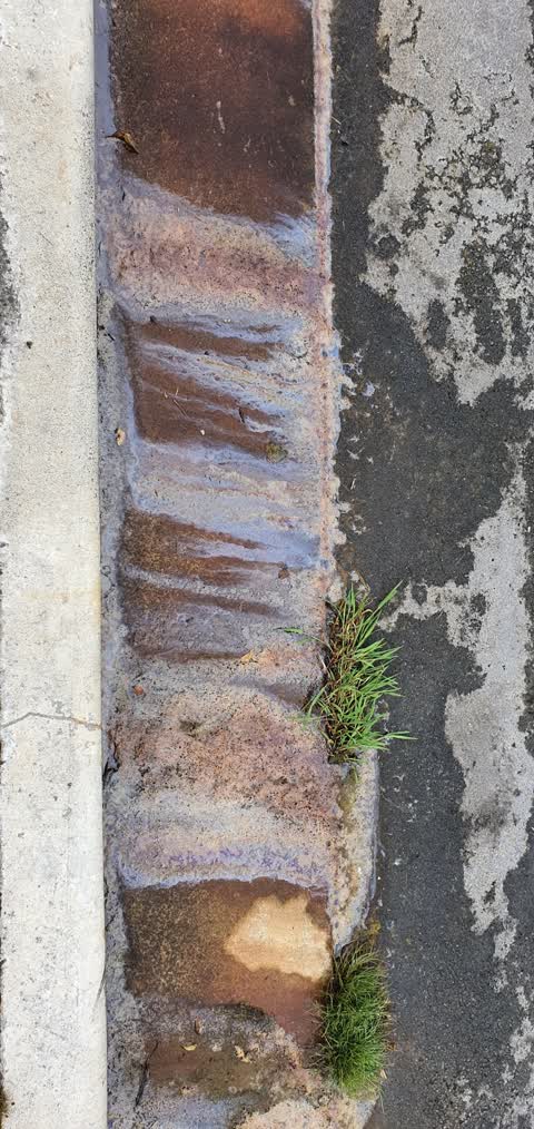 Sewer - General, a report photo