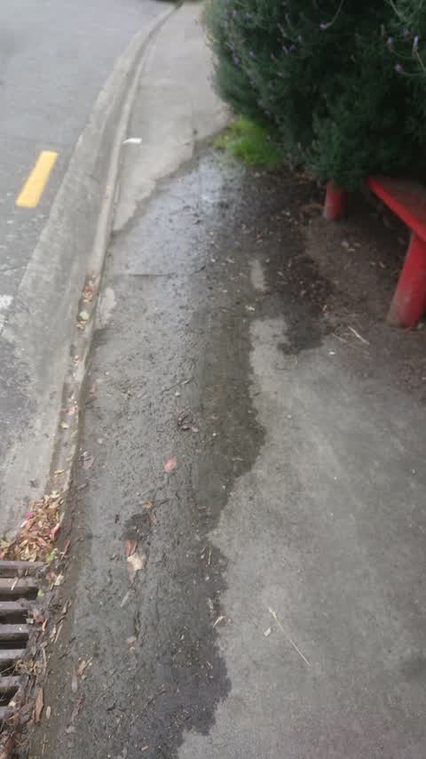 Roading/Streets, a report photo