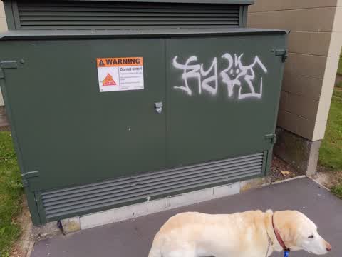 Graffiti, a report photo