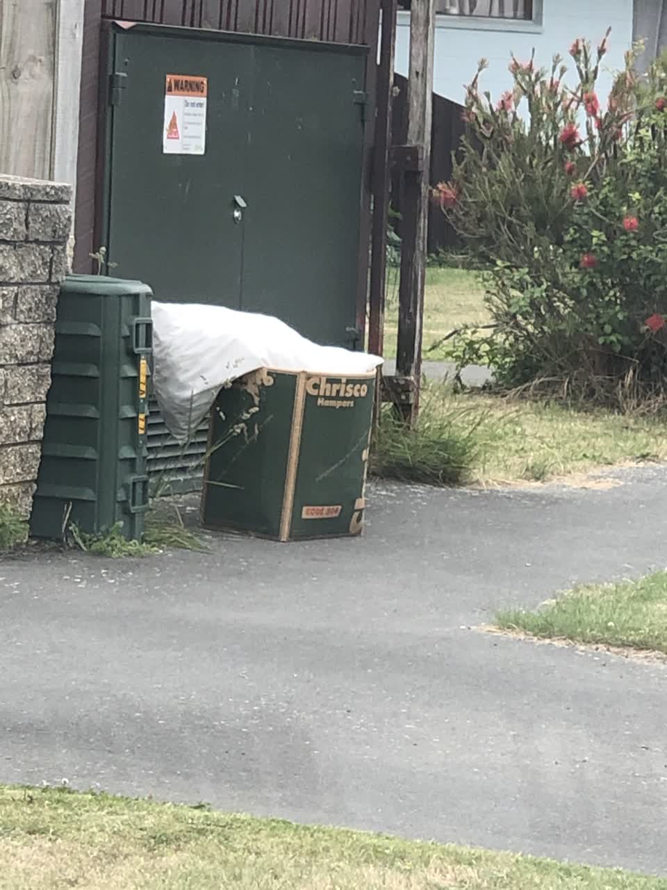 The photograph attached to this rubbish/recycling report