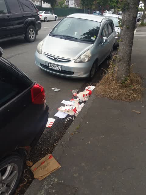 Rubbish/Recycling, a report photo