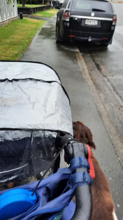Roading/Streets, a report photo