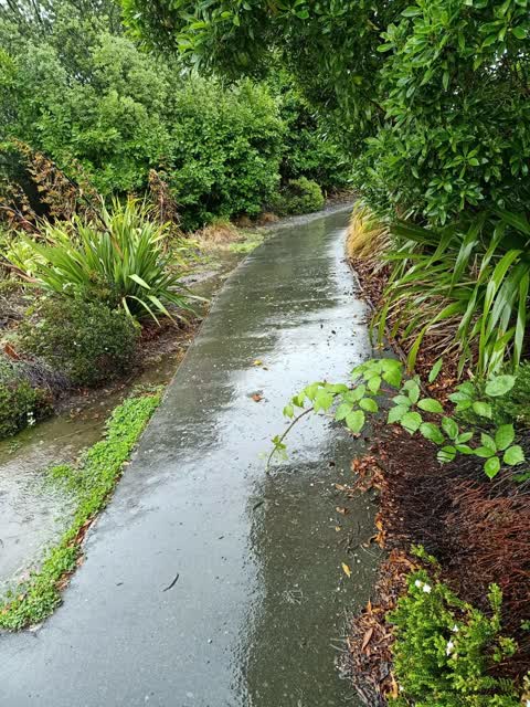 Roading/Streets, a report photo