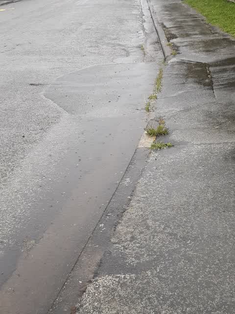 Flooding, a report photo