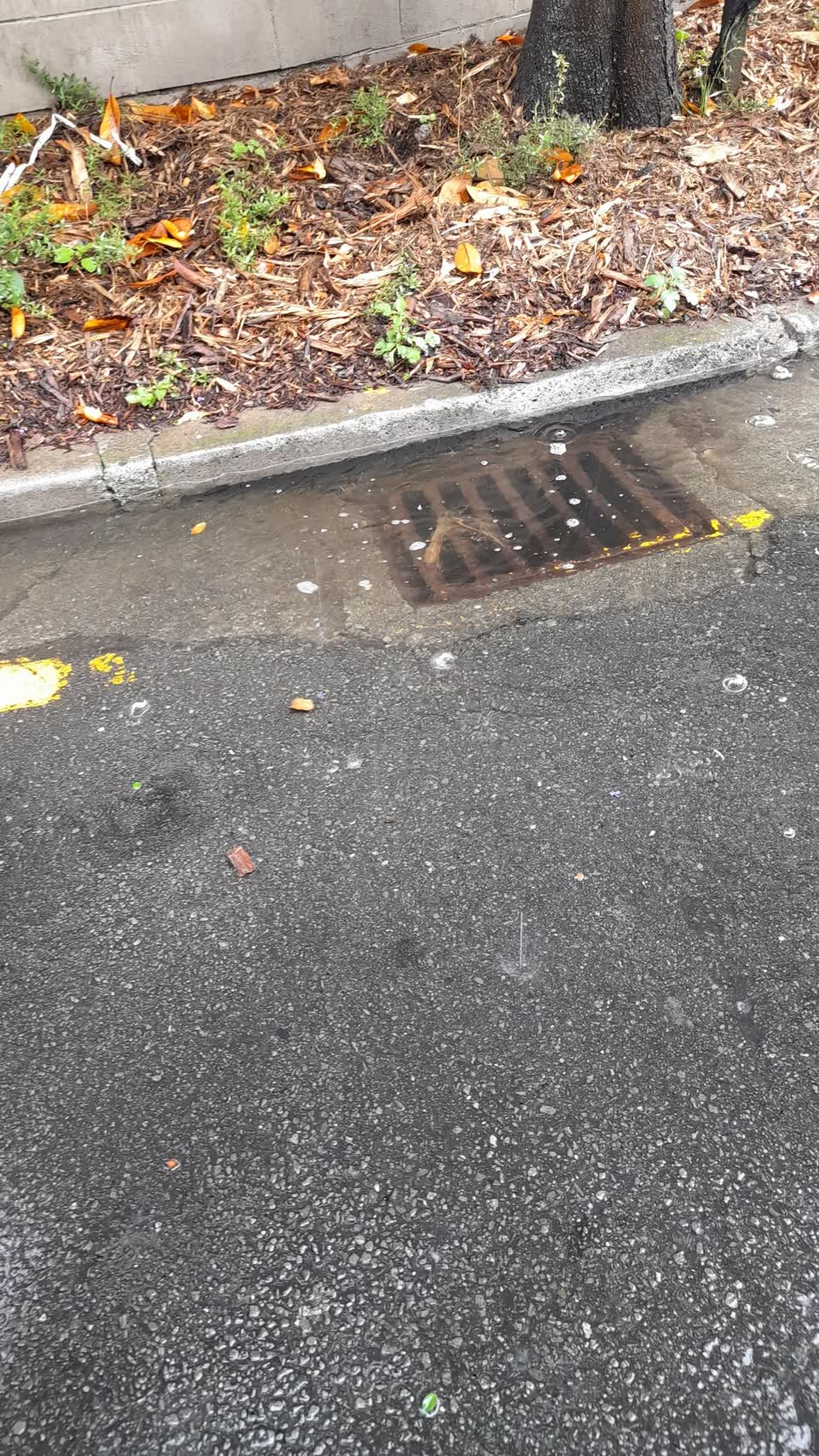 The photograph attached to this flooding report