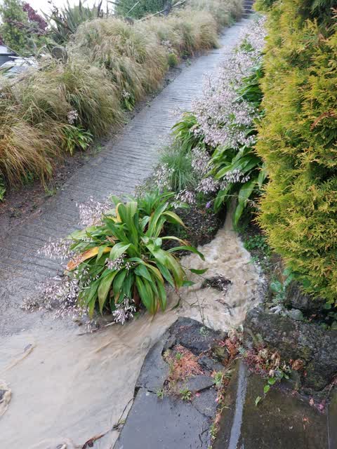 Wastewater/Stormwater — a report photo