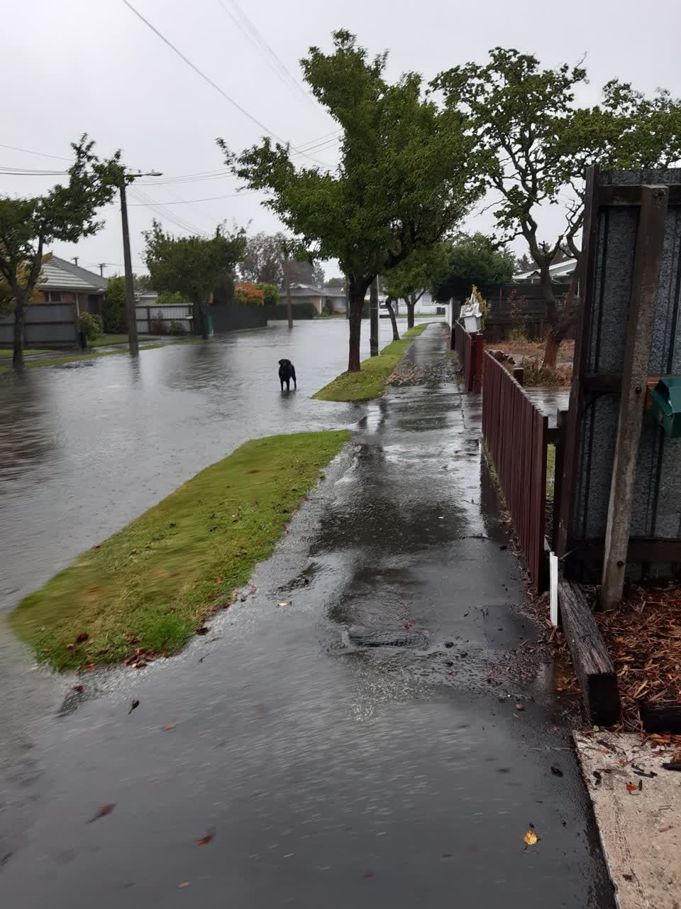 The photograph attached to this flooding report