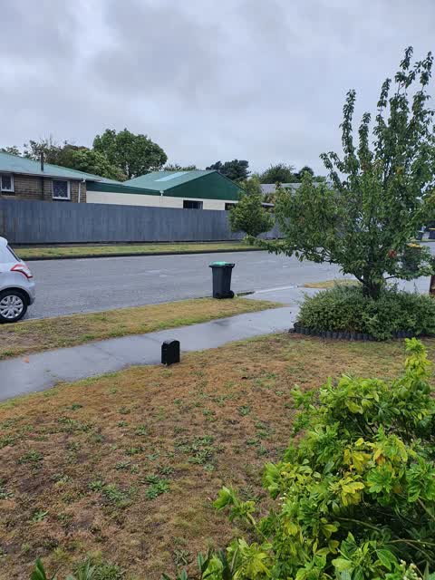 Rubbish/Recycling, a report photo