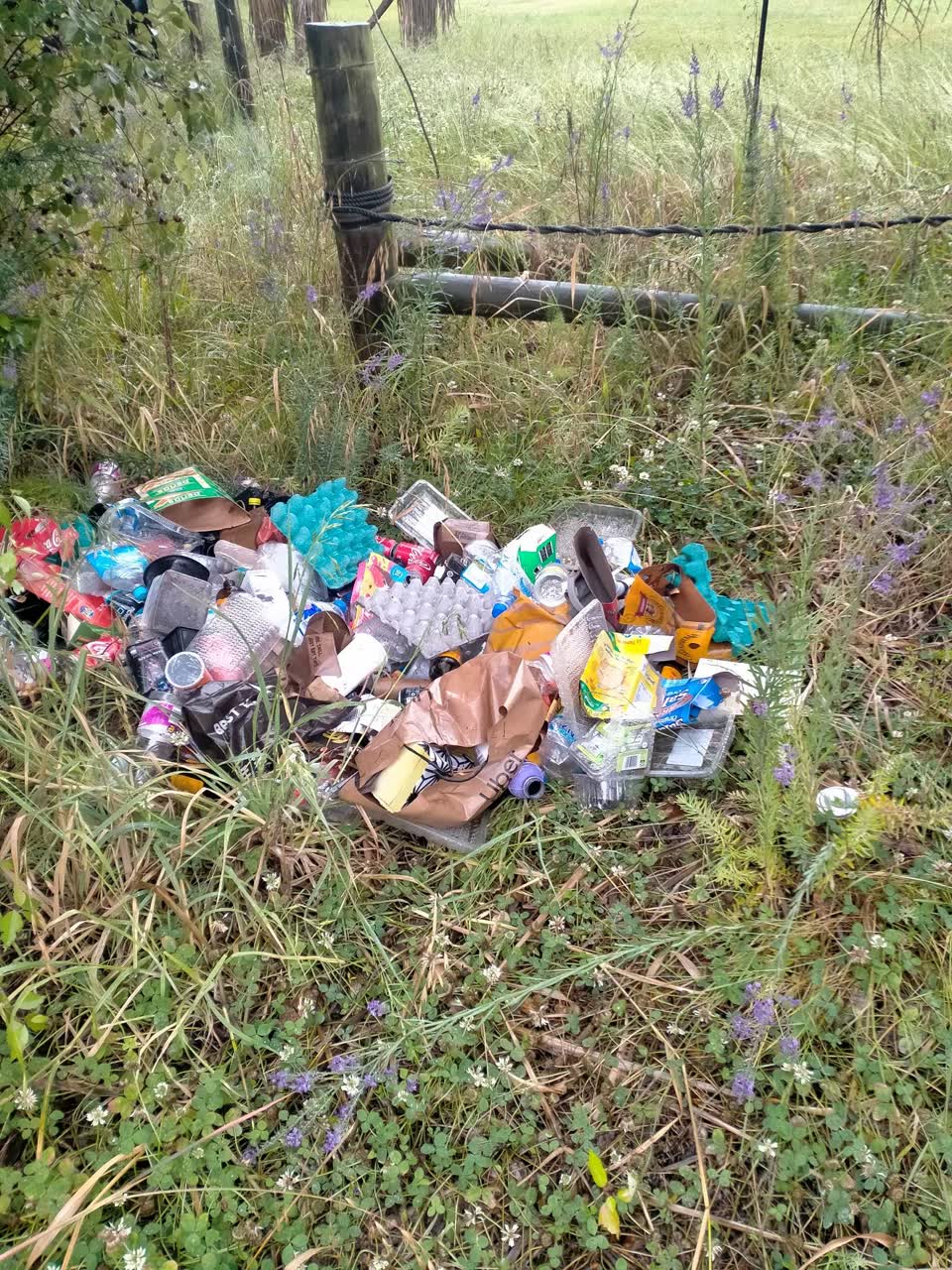 The photograph attached to this rubbish/recycling report