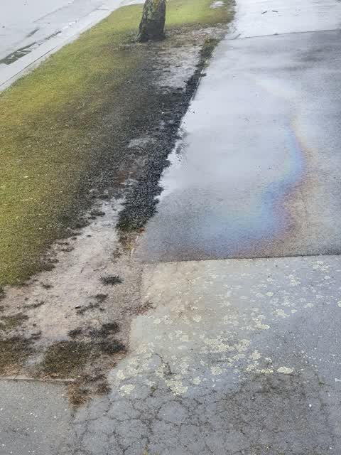General Request, a report photo