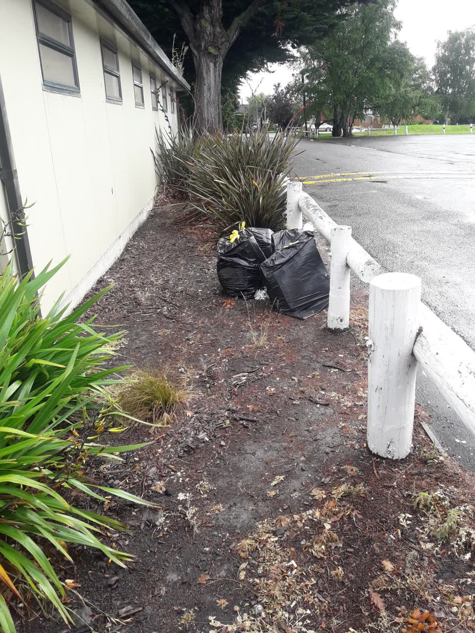The photograph attached to this parks report