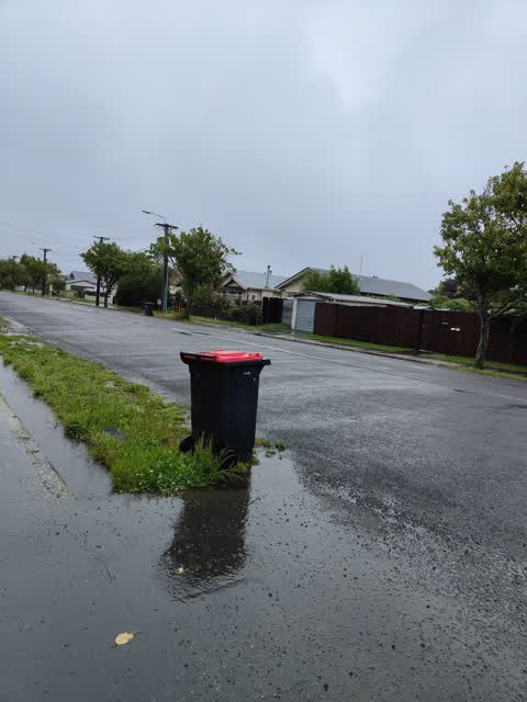 Rubbish/Recycling — a report photo