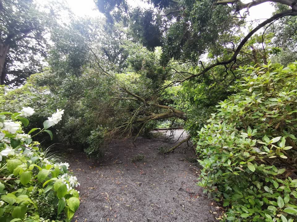 The photograph attached to this parks report