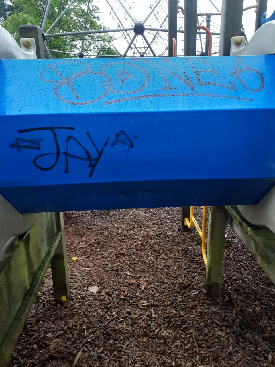 The photograph attached to this graffiti report