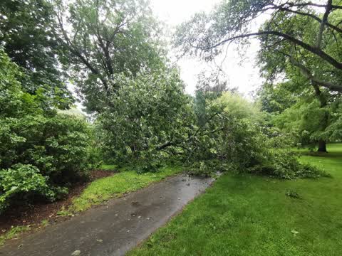 Parks — a report photo