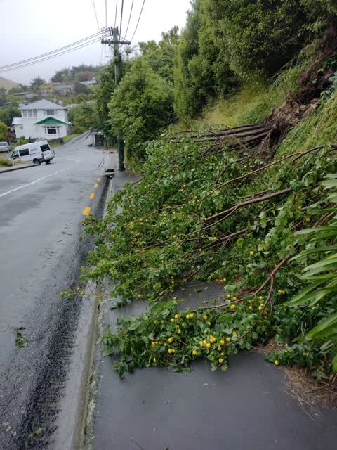 Roading/Streets, a report photo