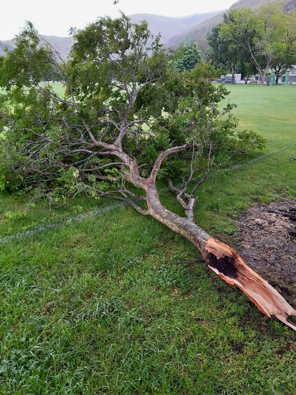 The photograph attached to this parks report
