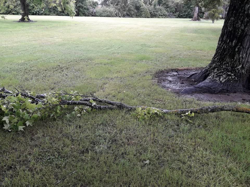 The photograph attached to this parks report