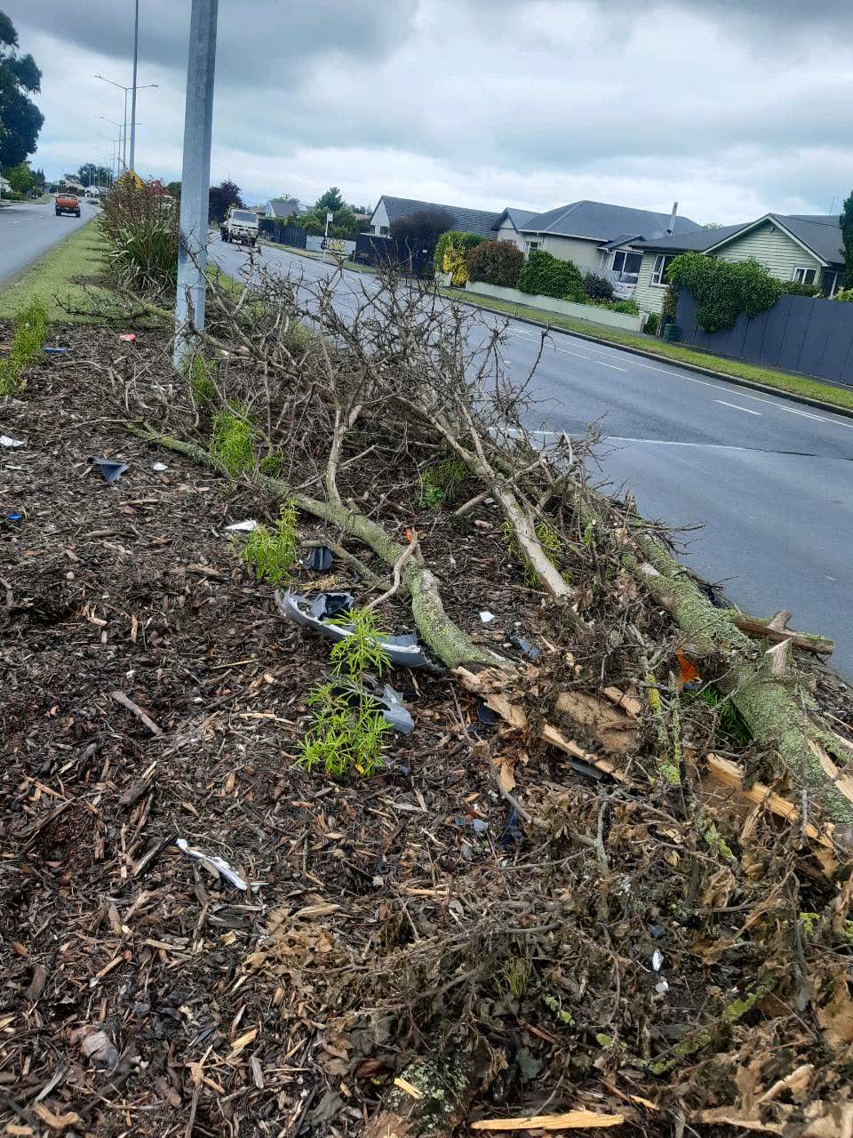 The photograph attached to this parks report