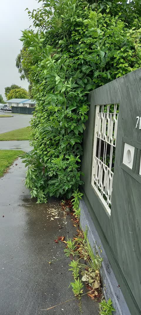 Roading/Streets, a report photo
