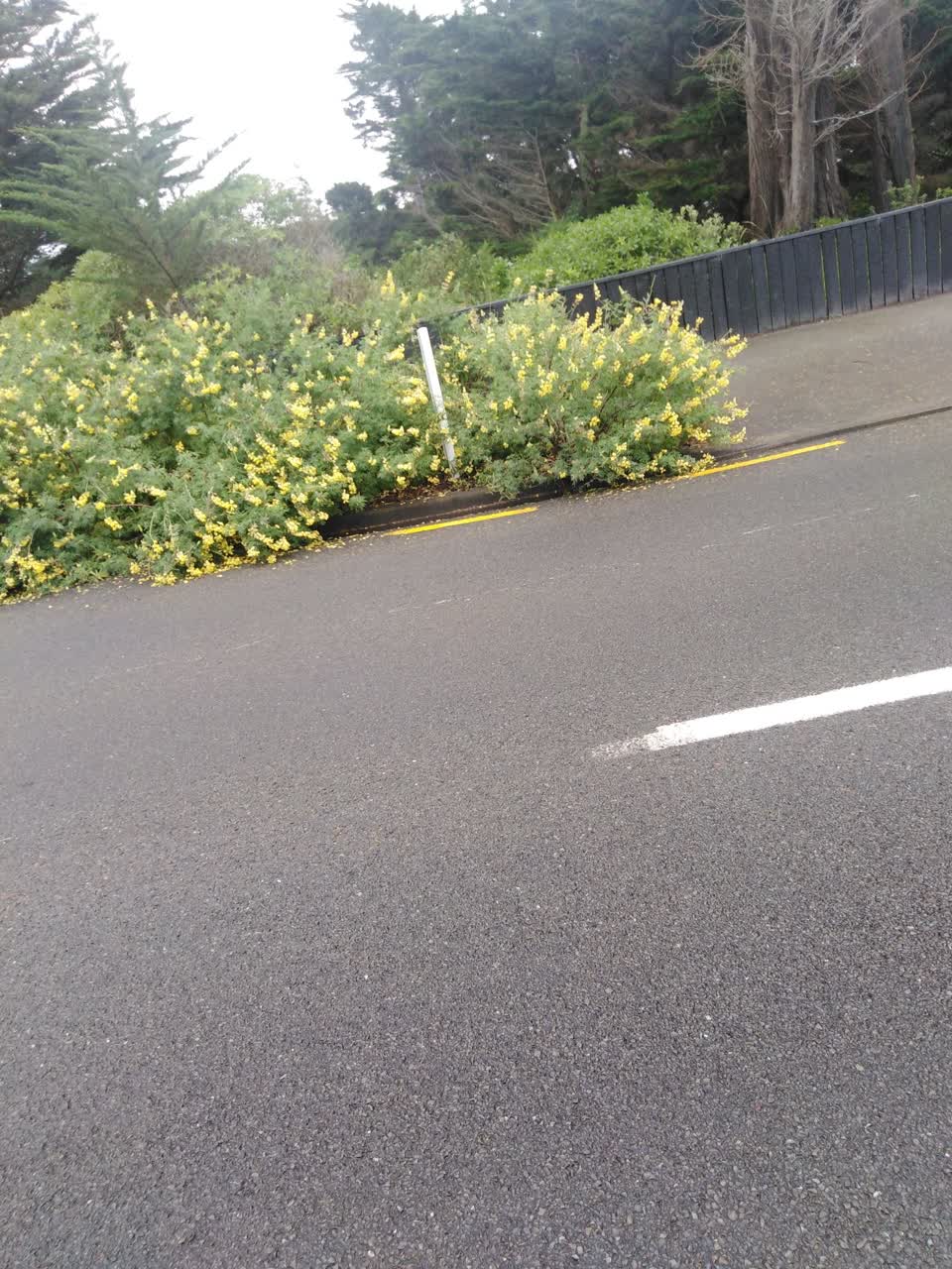 The photograph attached to this parks report