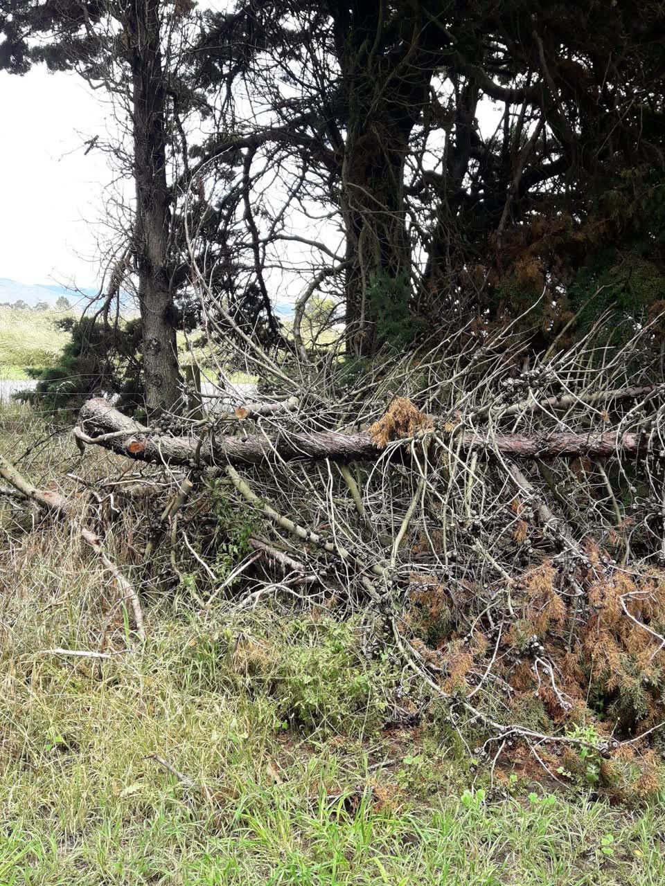 The photograph attached to this parks report