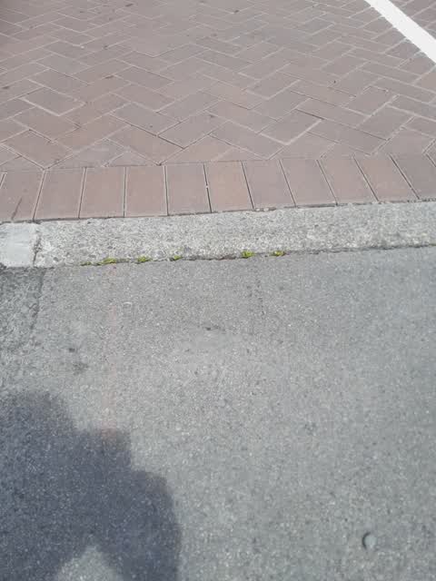 Roading/Streets, a report photo