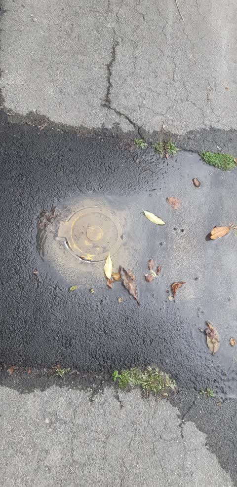 Water Leak, a report photo