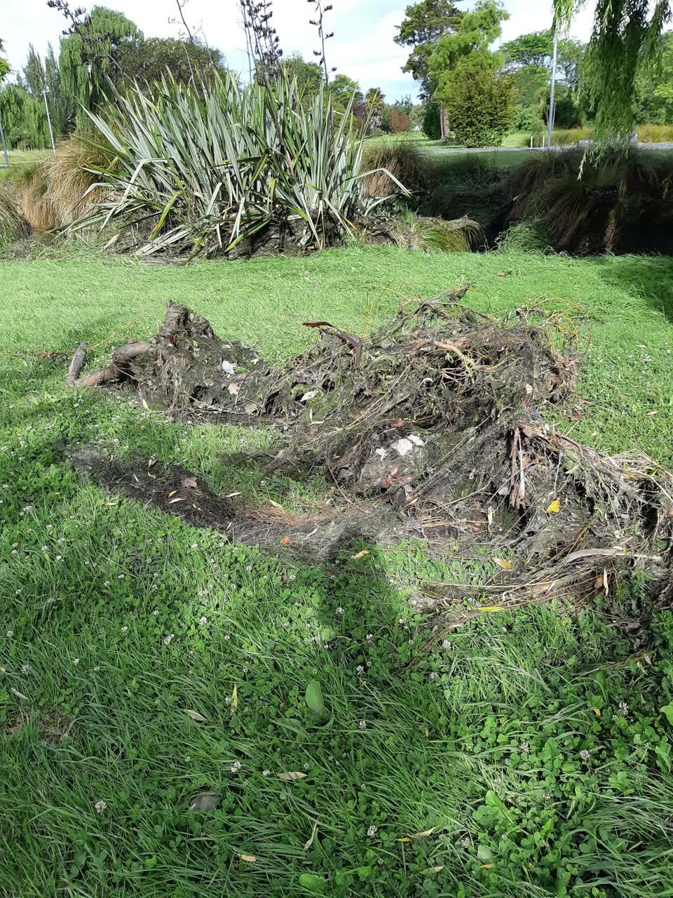 The photograph attached to this parks report