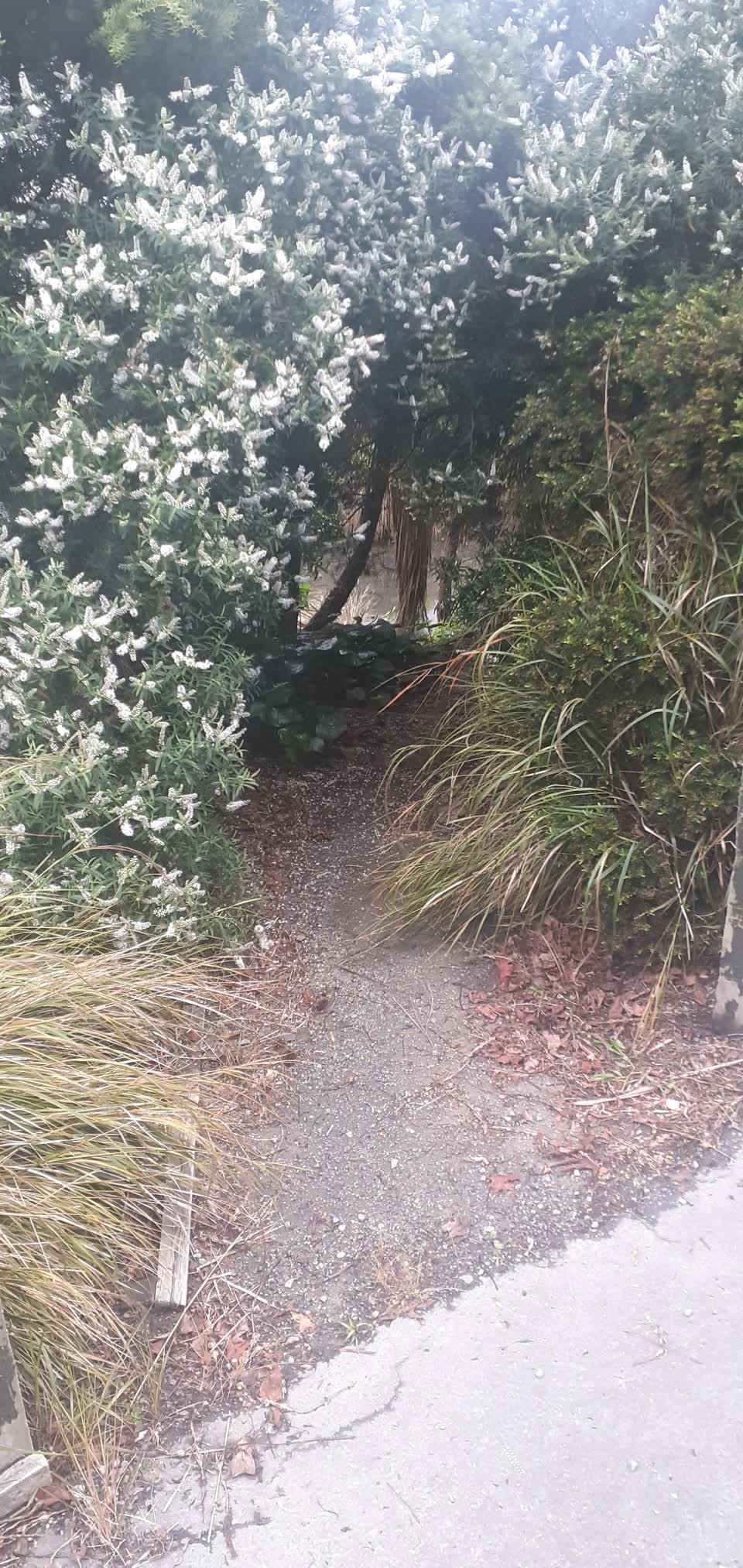 The photograph attached to this parks report