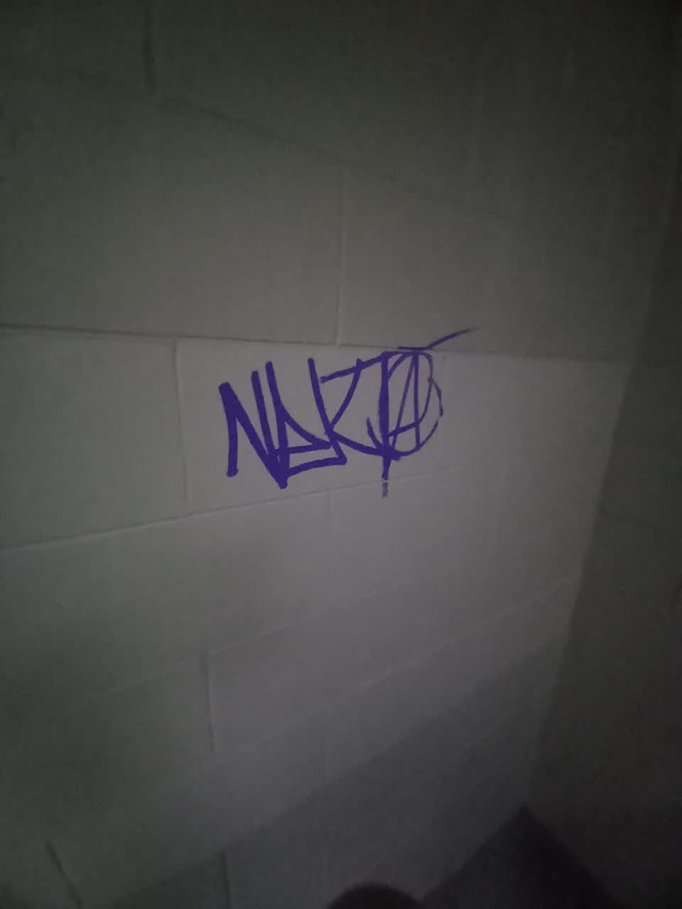 The photograph attached to this graffiti report