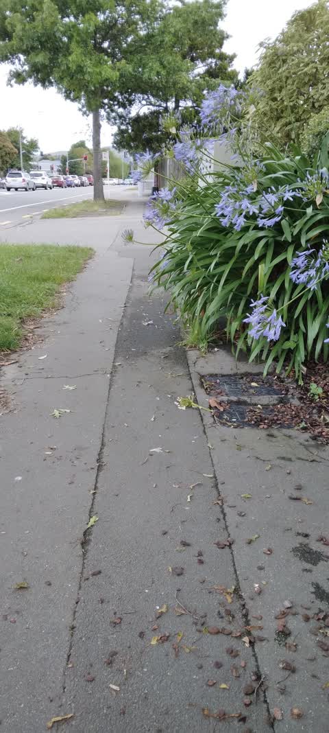 Roading/Streets — a report photo