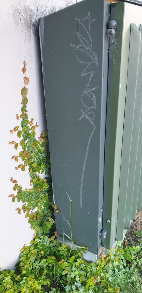 Graffiti, a report photo